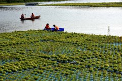 澳门金沙网站：江西省新余市投资13.3亿元开展水生态治理工程